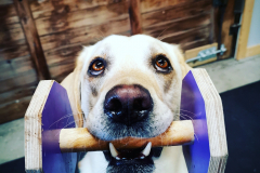 IMG_20200927_100506_321