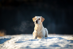 IMG_20210113_212742_649