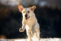 IMG_20210115_061519_165