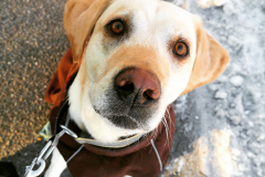 IMG_20210131_185741_793