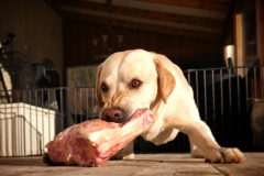 IMG_20210227_201448_974