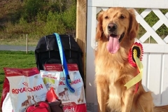 10154142_10152356827010568_5869536690333792954_n