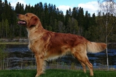 10314760_10152372376080568_3660761886224514955_n