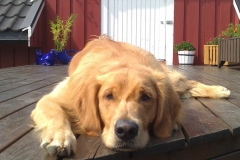 1040121_10151743196725568_1647583405_o