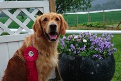 10406527_10152441841575568_5145424546022449885_n