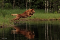 11041128_10153402906640568_8376966251574194742_n