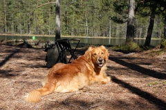 11200957_10153217645840568_8217272366675735011_o