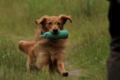 11218872_10153402906155568_1621374178236746420_n