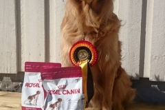 11406795_10153317366315568_8961264083153770438_n