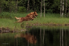 11752551_10153402906530568_2136695268664257824_n