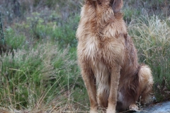 12226931_10153633675575568_9055675276636663397_n