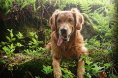 13301322_10154066944075568_4478187632774139066_o