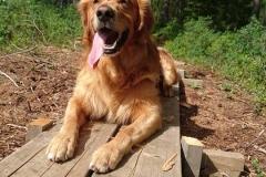 13418841_10154090259770568_31102773329043513_n