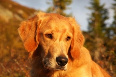 206305_10151226374480568_1723321886_n