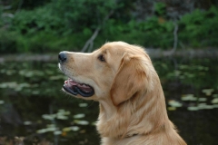 404607_10151226338360568_1718461418_n