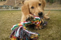 523327_10150749475425568_1100896022_n