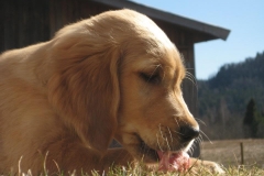 544502_10150797586640568_1871819822_n