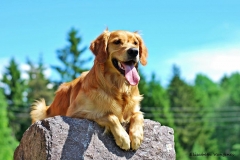 576730_10151670362485568_972223922_n