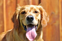 5823_10151670362235568_176334628_n