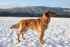 738286_10151384721055568_1979632458_o