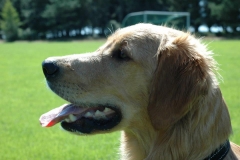 75595_10151226336360568_1097607301_n