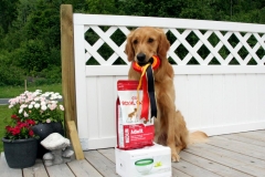 966640_10151670356975568_165647211_o