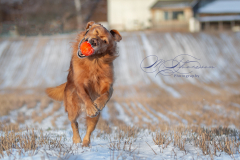 IMG_20210118_065044_539