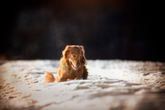 IMG_20210124_191412_718