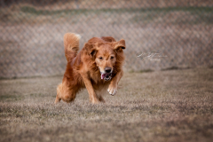 IMG_20210412_062929_560