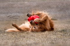 IMG_20210422_215712_456