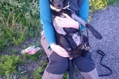 Grelines Polly Link Poteplassen