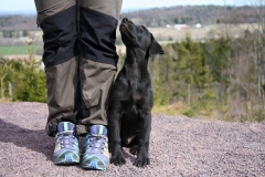 Grelines Polly Link Poteplassen