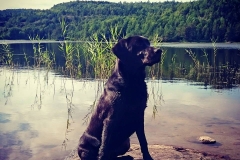 Grelines Polly Link Poteplassen