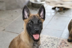 32207408_10156023013100568_588015928021614592_n