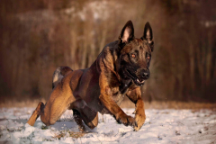 IMG_20210112_212308_809