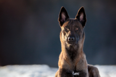 IMG_20210114_210413_202