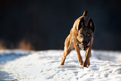 IMG_20210116_205607_199