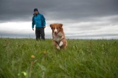 Lauvstuas Oleo Ayrdust Poteplassen