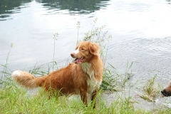 Lauvstuas Oleo Ayrdust Poteplassen