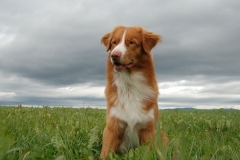 Lauvstuas Oleo Ayrdust Poteplassen