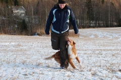 Lauvstuas Oleo Ayrdust Poteplassen