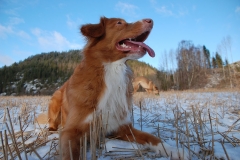 Lauvstuas Oleo Ayrdust Poteplassen